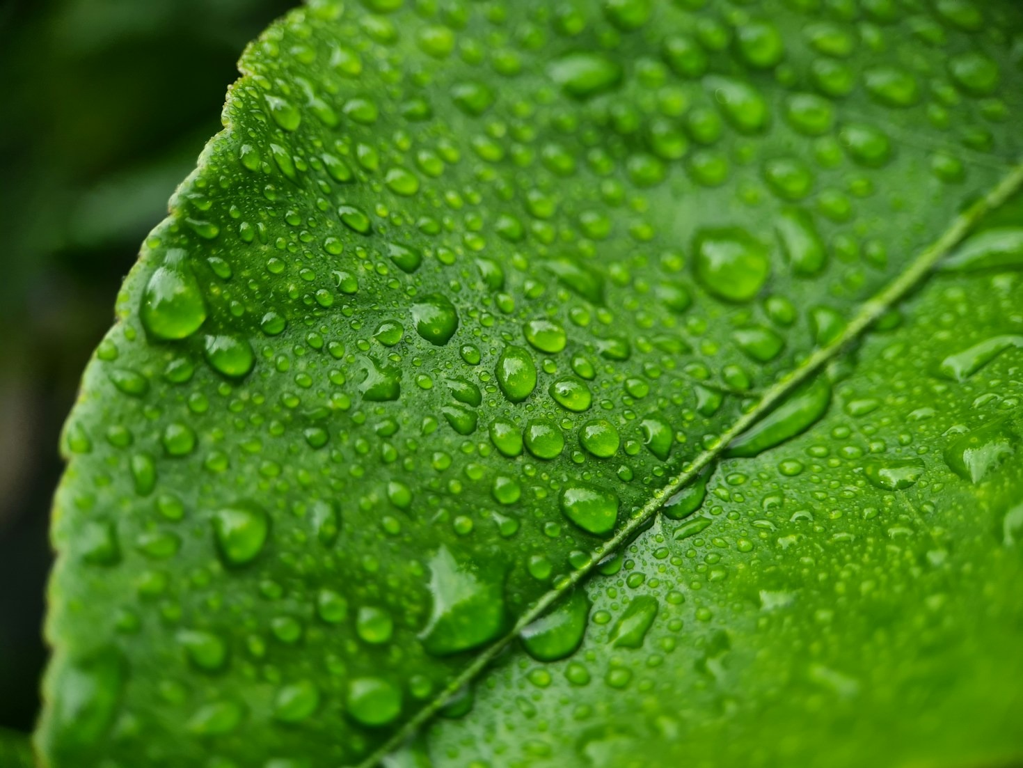 Henstedt-Ulzburg: Ein Modell für ökologische Innovation